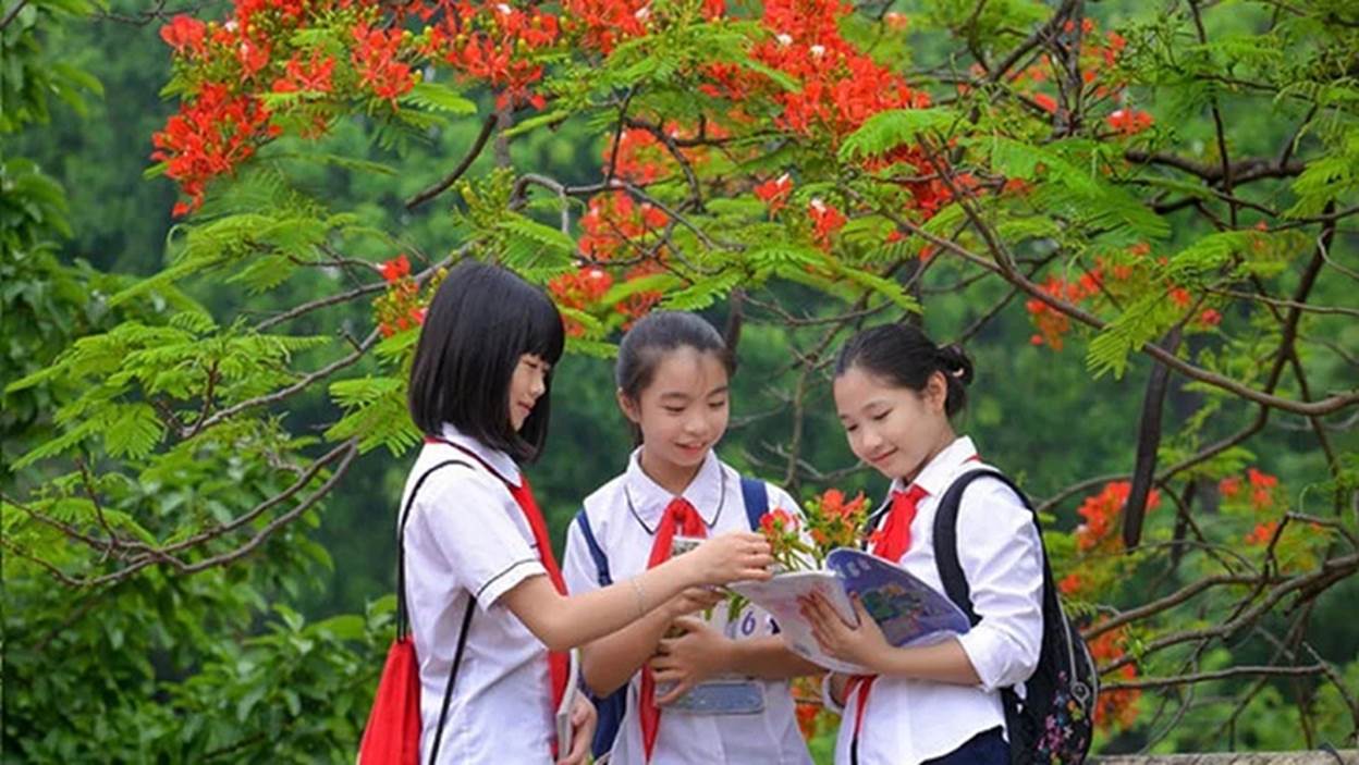 Thủ tướng chỉ đạo 3 vấn đề nóng trong giáo dục- Ảnh 1.